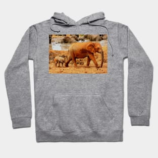 African Wildlife Photography Elephant Mother and Calf Hoodie